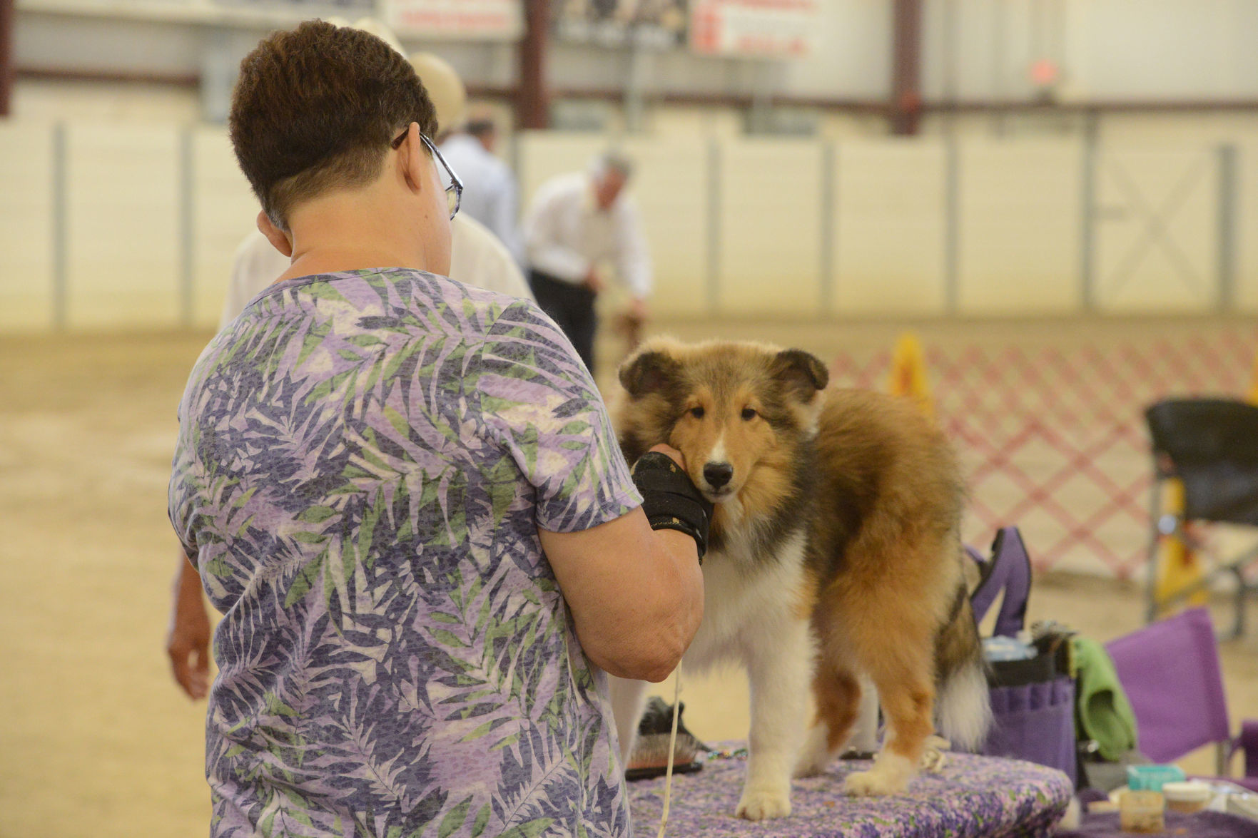 Danville Kennel Club Breeder Show